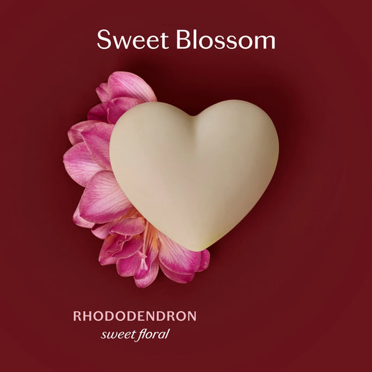 Heart-shaped body lotion bar with pink flower on a red background, labeled 'Sweet Blossom'.