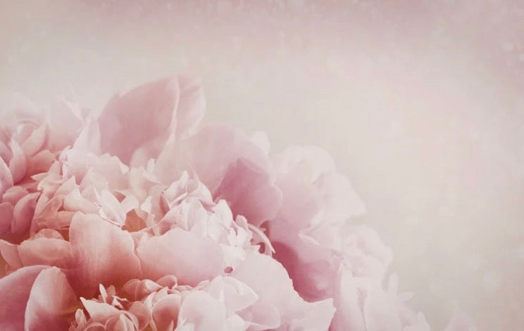 Mother's Day Gift Guide: Thoughtful Living from JTL