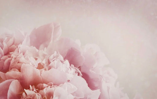 Mother's Day Gift Guide: Thoughtful Living from JTL