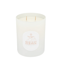 Load image into Gallery viewer, Harvest Pumpkin