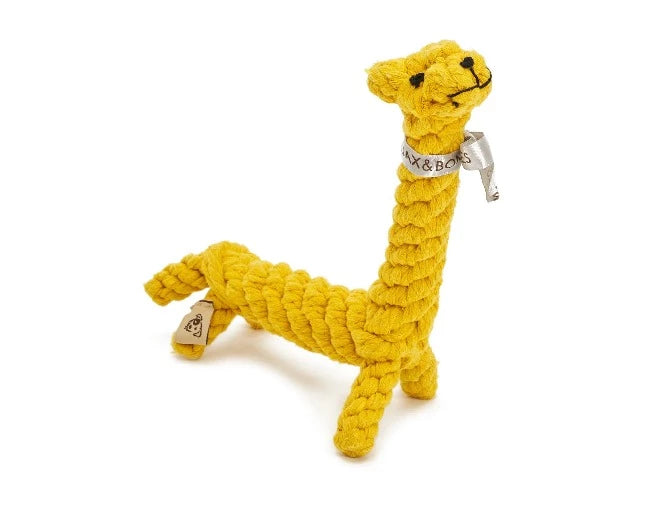 Jerry the Giraffe