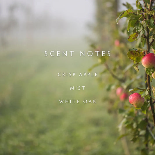 Fog Travel Candle