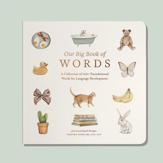 Our Big Book of First Words