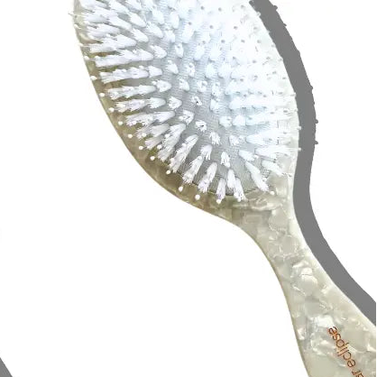 Hairbrush with bristle head on a white background