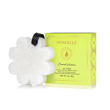 Load image into Gallery viewer, Coconut Verbena Boxed Flower Body Wash Sponge
